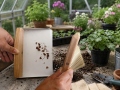 Table dustpan and brush